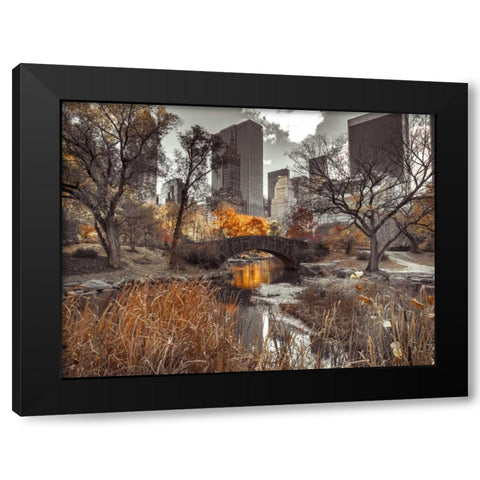 Gapstow Bridge in autumn, Central Park, New York city, FTBR-1801 Black Modern Wood Framed Art Print by Frank, Assaf