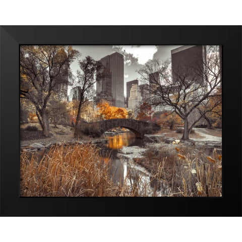 Gapstow Bridge in autumn, Central Park, New York city, FTBR-1801 Black Modern Wood Framed Art Print by Frank, Assaf
