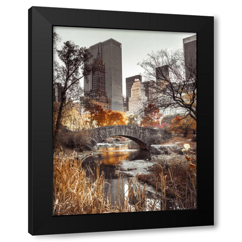 Gapstow bridge in autumn, Central Park, New York city, FTBR-1802 Black Modern Wood Framed Art Print with Double Matting by Frank, Assaf