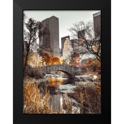 Gapstow bridge in autumn, Central Park, New York city, FTBR-1802 Black Modern Wood Framed Art Print by Frank, Assaf