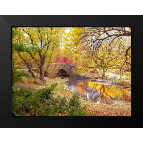 Gapstow bridge in autumn-Central Park-New York city Black Modern Wood Framed Art Print by Frank, Assaf