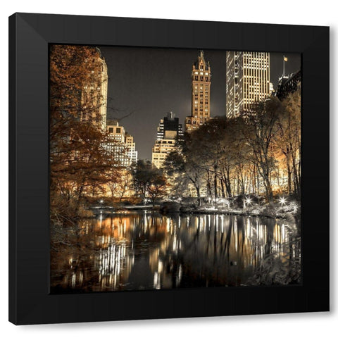 Evening view of Central Park in New York City Black Modern Wood Framed Art Print with Double Matting by Frank, Assaf