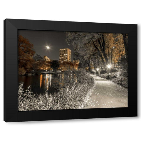 Evening view of Central Park in New York City Black Modern Wood Framed Art Print with Double Matting by Frank, Assaf