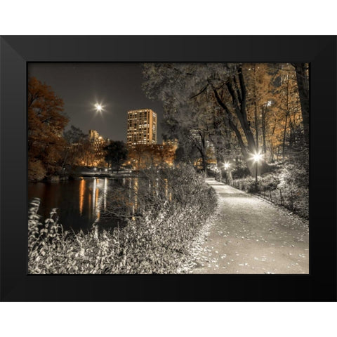 Evening view of Central Park in New York City Black Modern Wood Framed Art Print by Frank, Assaf