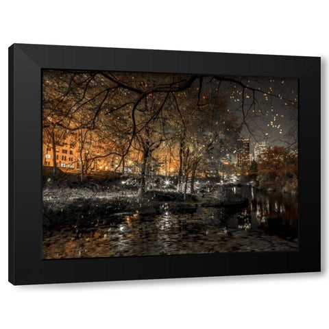 Evening view of Central Park in New York City Black Modern Wood Framed Art Print with Double Matting by Frank, Assaf
