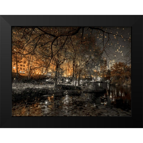 Evening view of Central Park in New York City Black Modern Wood Framed Art Print by Frank, Assaf