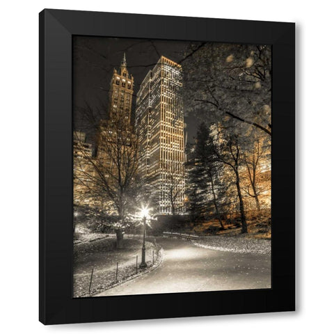 Evening view of Central Park in New York City Black Modern Wood Framed Art Print with Double Matting by Frank, Assaf