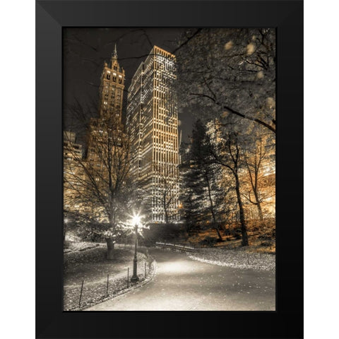 Evening view of Central Park in New York City Black Modern Wood Framed Art Print by Frank, Assaf