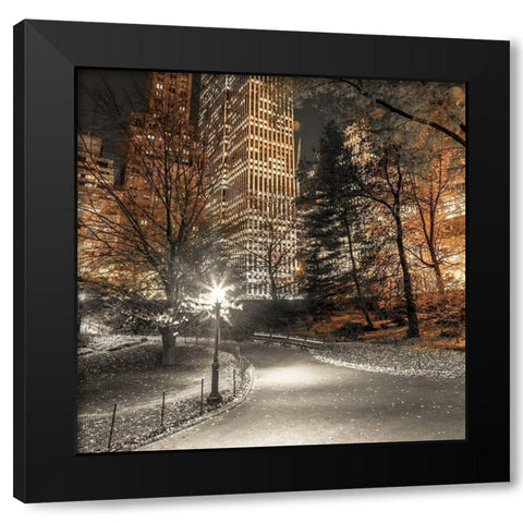 Evening view of Central Park in New York City Black Modern Wood Framed Art Print with Double Matting by Frank, Assaf