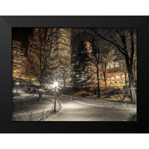 Evening view of Central Park in New York City Black Modern Wood Framed Art Print by Frank, Assaf