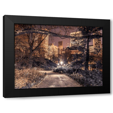 Evening view of Central Park in New York City Black Modern Wood Framed Art Print by Frank, Assaf