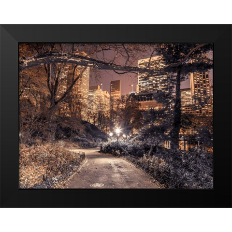 Evening view of Central Park in New York City Black Modern Wood Framed Art Print by Frank, Assaf