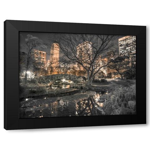 Evening view of Central Park in New York City Black Modern Wood Framed Art Print with Double Matting by Frank, Assaf