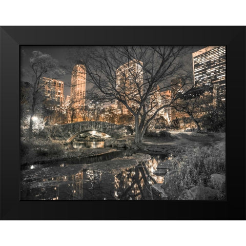 Evening view of Central Park in New York City Black Modern Wood Framed Art Print by Frank, Assaf
