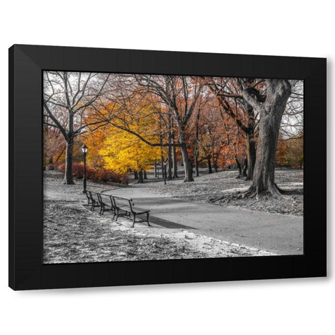 Pathway through Central Park, New York Black Modern Wood Framed Art Print by Frank, Assaf