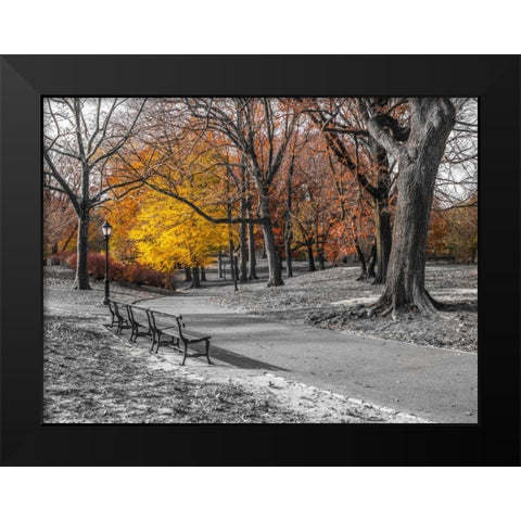 Pathway through Central Park, New York Black Modern Wood Framed Art Print by Frank, Assaf