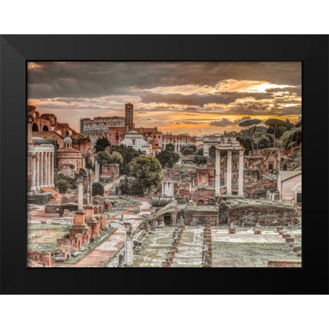 Ruins of the Roman Forum, Rome, Italy Black Modern Wood Framed Art Print by Frank, Assaf