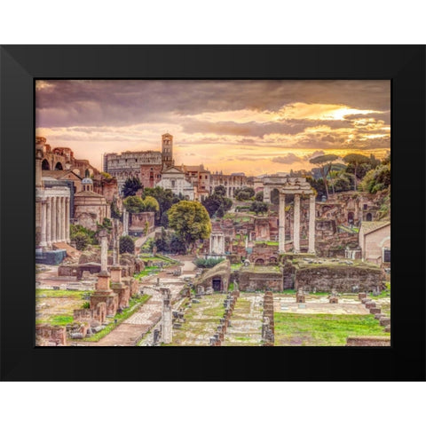 Ruins of the Roman Forum, Rome, Italy Black Modern Wood Framed Art Print by Frank, Assaf