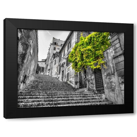 Steps through old buildings in Rome, Italy Black Modern Wood Framed Art Print with Double Matting by Frank, Assaf