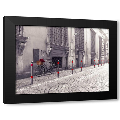 Bunch of roses on bicycle on old city street of Rome Black Modern Wood Framed Art Print with Double Matting by Frank, Assaf
