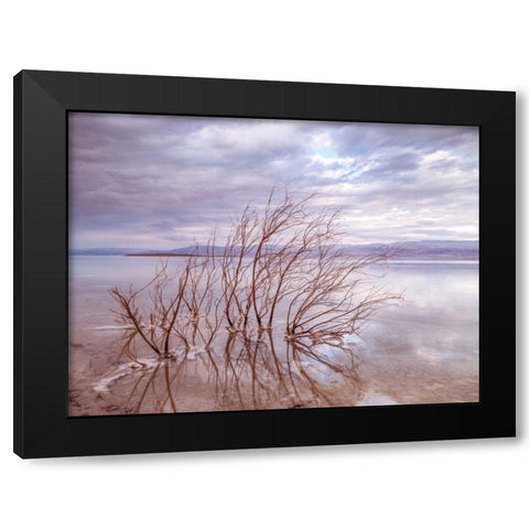 Dead Sea, Israel Black Modern Wood Framed Art Print with Double Matting by Frank, Assaf