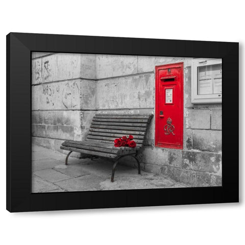 Bunch of roses on a bench, Birgu, Malta Black Modern Wood Framed Art Print with Double Matting by Frank, Assaf