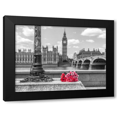 Bunch of Roses by a lampost, London, UK Black Modern Wood Framed Art Print with Double Matting by Frank, Assaf
