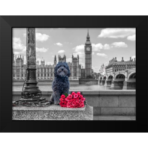 Dog by a lampost with bunch of Roses, London, UK Black Modern Wood Framed Art Print by Frank, Assaf