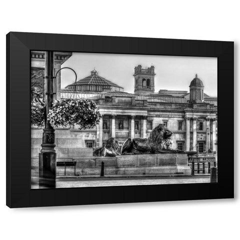 Trafalgar Square, London, UK Black Modern Wood Framed Art Print with Double Matting by Frank, Assaf