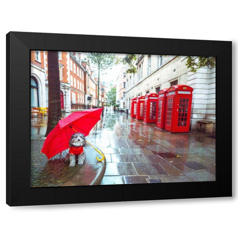 Dog with umbrella on London city street Black Modern Wood Framed Art Print with Double Matting by Frank, Assaf