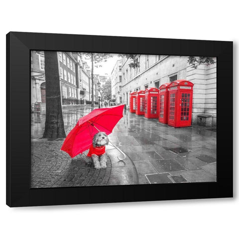 Dog with umbrella in London Black Modern Wood Framed Art Print with Double Matting by Frank, Assaf