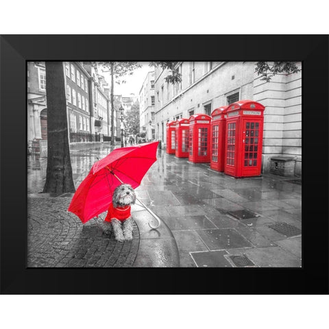 Dog with umbrella in London Black Modern Wood Framed Art Print by Frank, Assaf