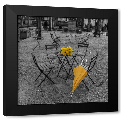Bunch of roses and umbrella on table and chair at the park, New York Black Modern Wood Framed Art Print with Double Matting by Frank, Assaf