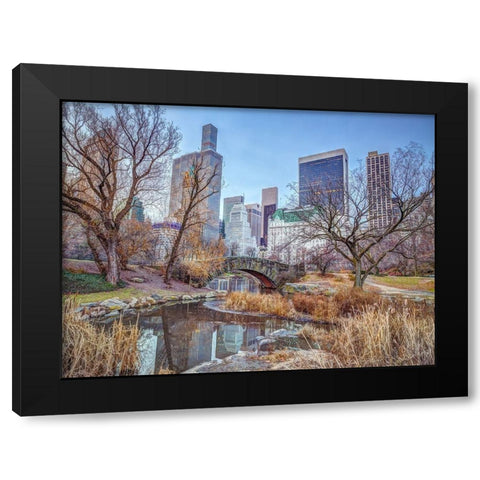 Central park with Manhattan skyline-New York Black Modern Wood Framed Art Print with Double Matting by Frank, Assaf