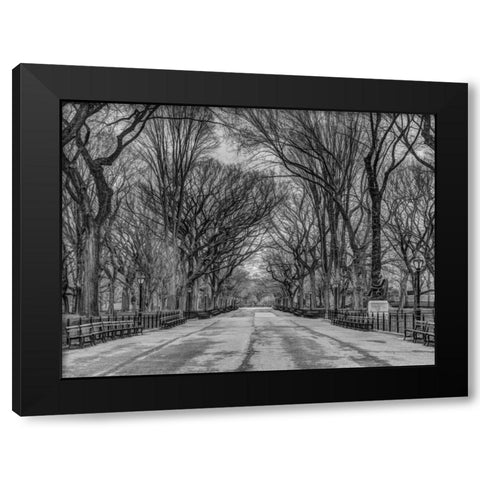 Pathway through Central park, New York Black Modern Wood Framed Art Print with Double Matting by Frank, Assaf