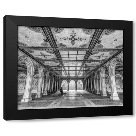 Bethesda Terrace in Central park, New York Black Modern Wood Framed Art Print with Double Matting by Frank, Assaf