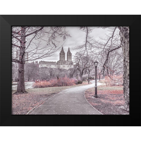 Pathway through Central park-New York Black Modern Wood Framed Art Print by Frank, Assaf
