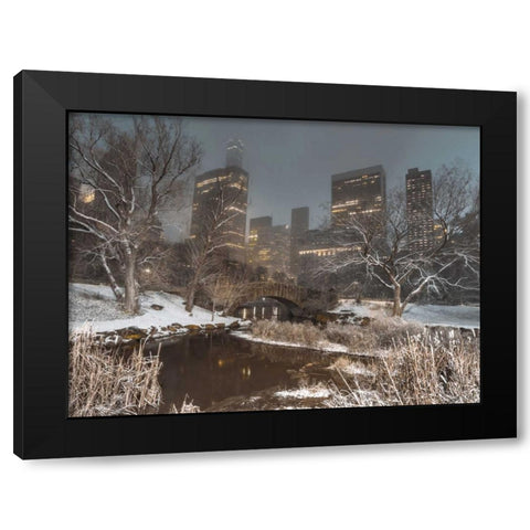 Central park with Manhattan skyline, New York Black Modern Wood Framed Art Print with Double Matting by Frank, Assaf