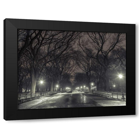 Central park with Manhattan skyline, New York Black Modern Wood Framed Art Print with Double Matting by Frank, Assaf