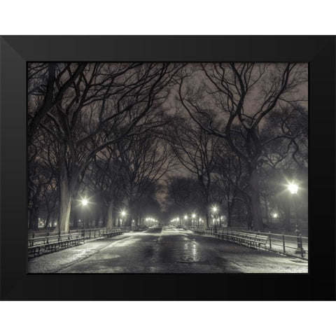 Central park with Manhattan skyline, New York Black Modern Wood Framed Art Print by Frank, Assaf