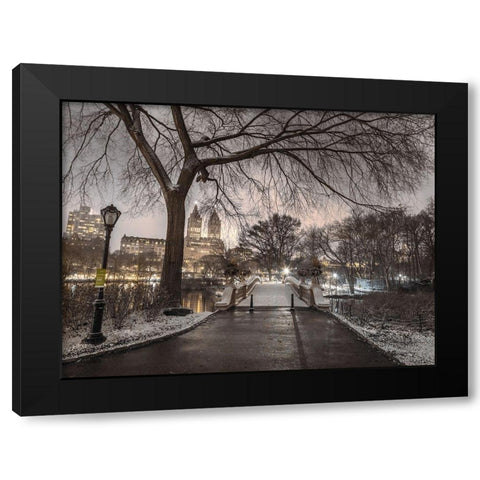 Evening view of Central park-New York Black Modern Wood Framed Art Print with Double Matting by Frank, Assaf