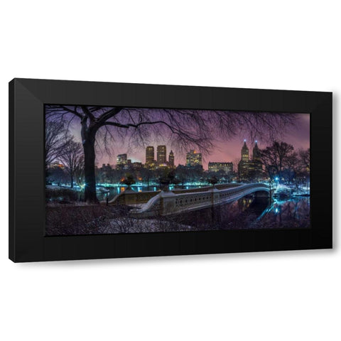 Central park with Manhattan skyline, New York Black Modern Wood Framed Art Print with Double Matting by Frank, Assaf