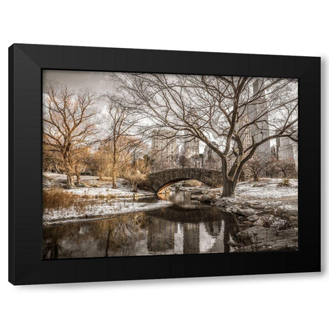 Central park in New York Black Modern Wood Framed Art Print with Double Matting by Frank, Assaf