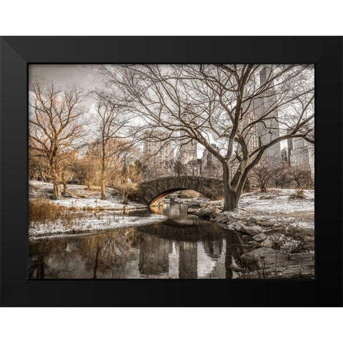 Central park in New York Black Modern Wood Framed Art Print by Frank, Assaf