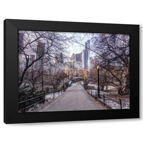 Pathway through Central park, New York Black Modern Wood Framed Art Print with Double Matting by Frank, Assaf