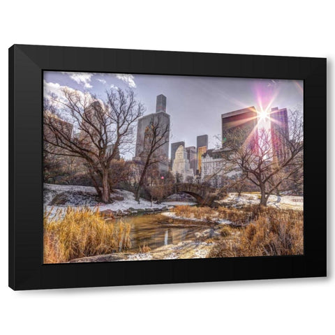 Central park with Lower Manhattan skyline, New York Black Modern Wood Framed Art Print with Double Matting by Frank, Assaf