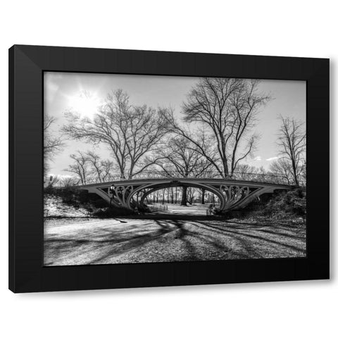 Walkway bridge in Central park, New York, FTBR-1920 Black Modern Wood Framed Art Print with Double Matting by Frank, Assaf