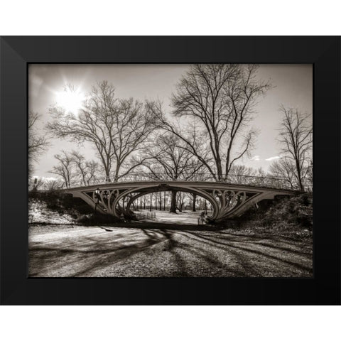Walkway bridge in Central park, New York, FTBR-1921 Black Modern Wood Framed Art Print by Frank, Assaf