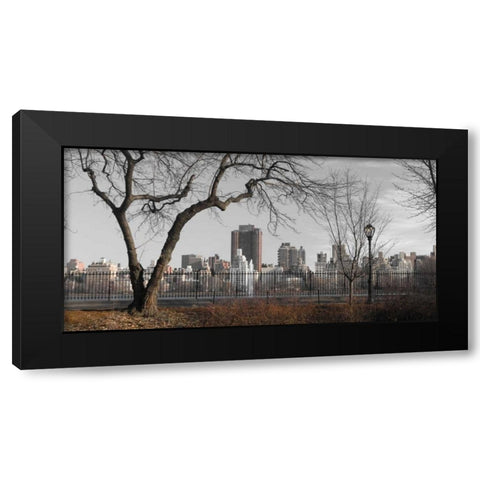 Lower Manhattan cityscape from Central park, New York Black Modern Wood Framed Art Print with Double Matting by Frank, Assaf