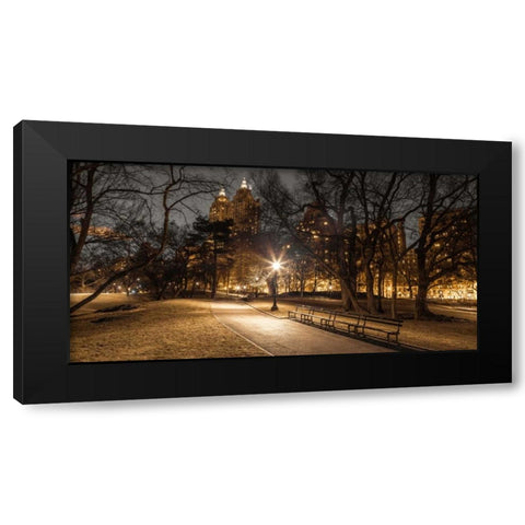 Central park in evening, New York Black Modern Wood Framed Art Print with Double Matting by Frank, Assaf